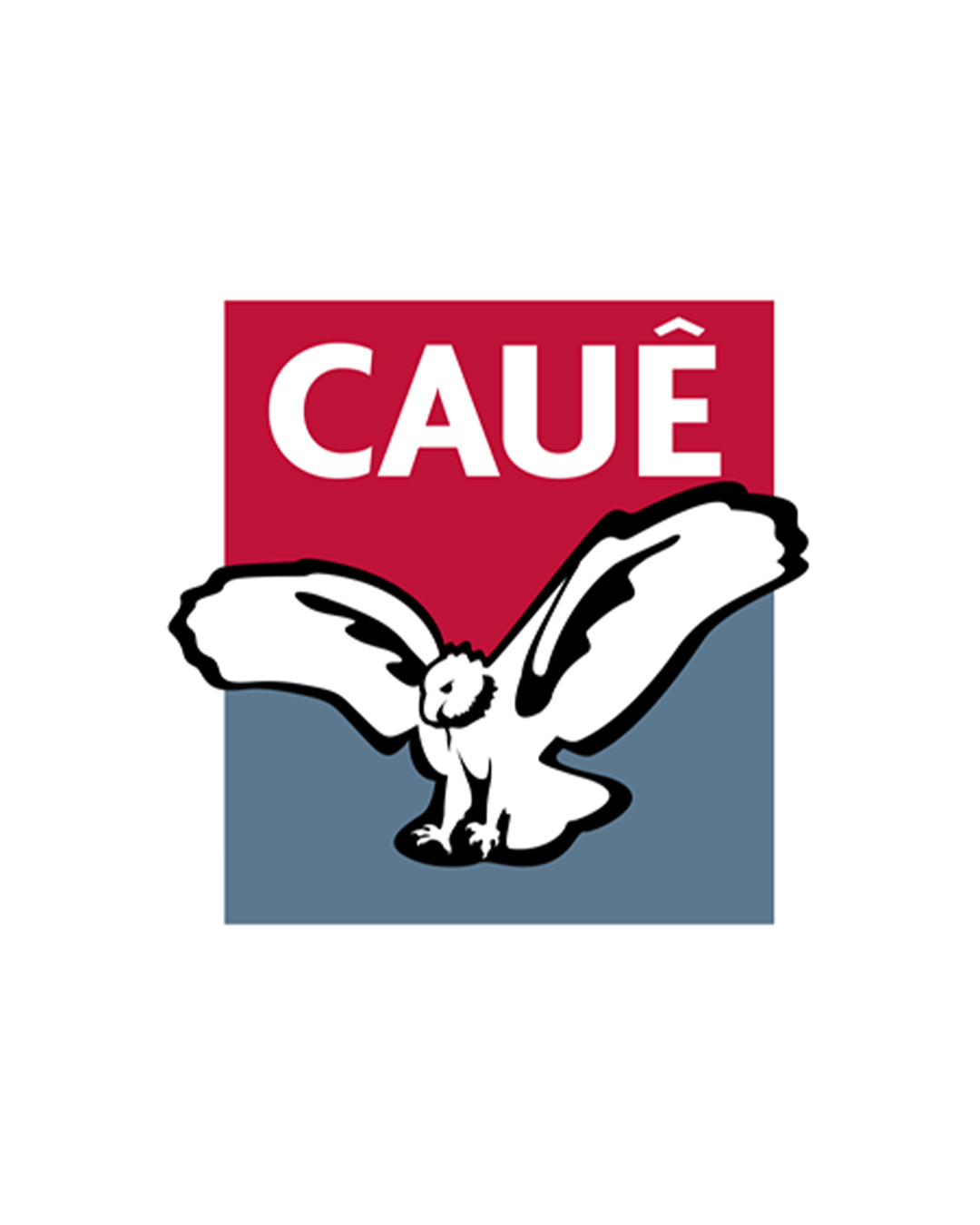 1080 x 1350 - CAUE